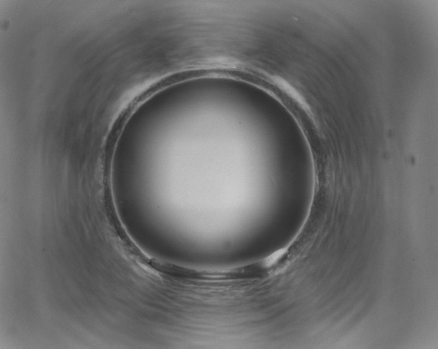 X0000063531364200601201447