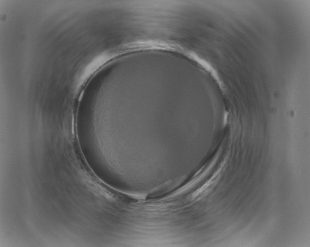 X0000063531365200601201447