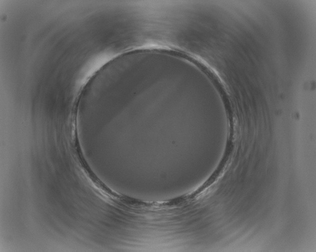 X0000063531367200601201447