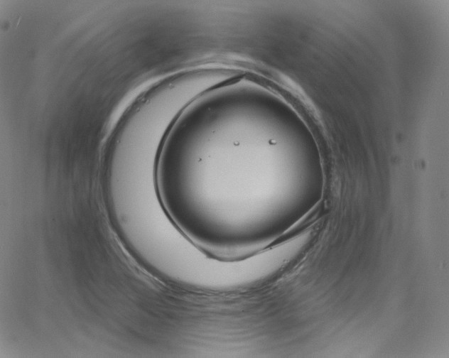 X0000063531368200601201447