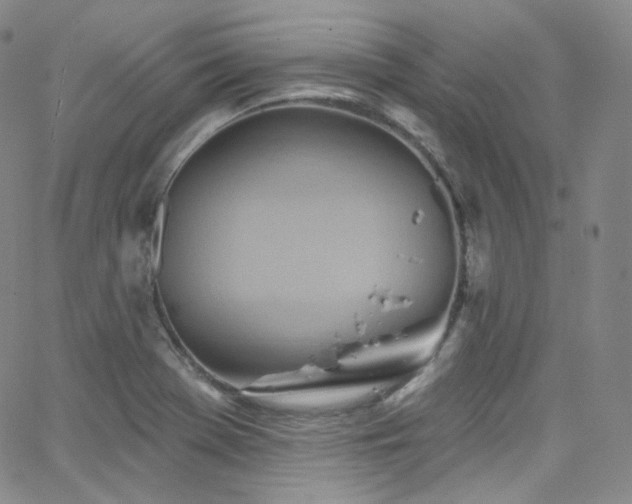 X0000063531369200601201447