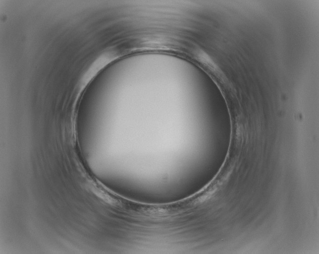 X0000063531370200601201447