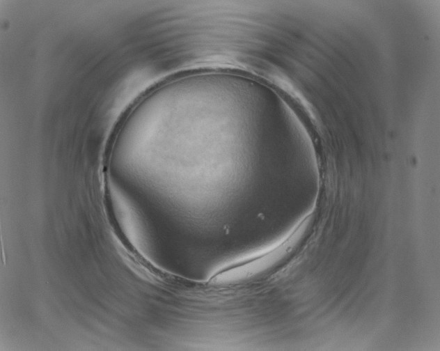 X0000063531372200601201447