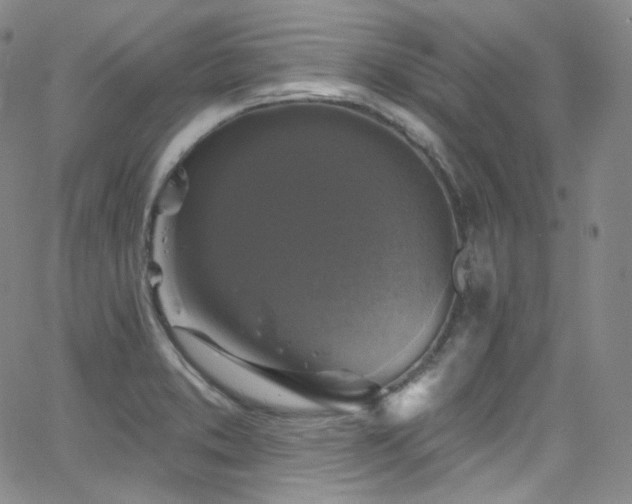 X0000063531373200601201447