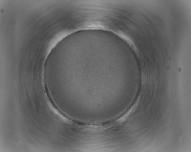 X0000063531374200601201447