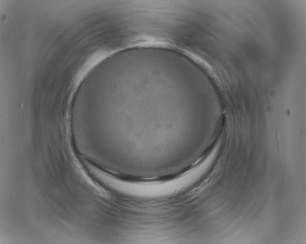 X0000063531375200601201447