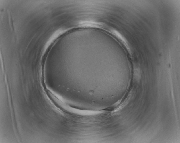 X0000063531376200601201447