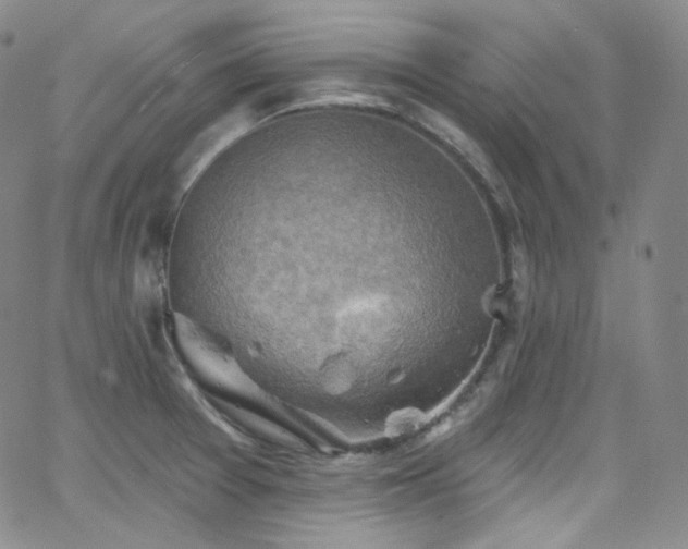 X0000063531377200601201447