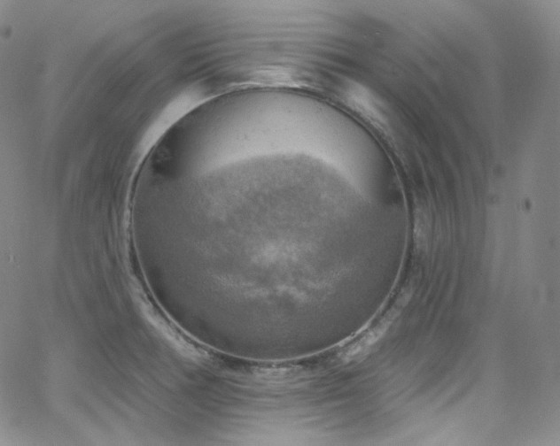 X0000063531378200601201447