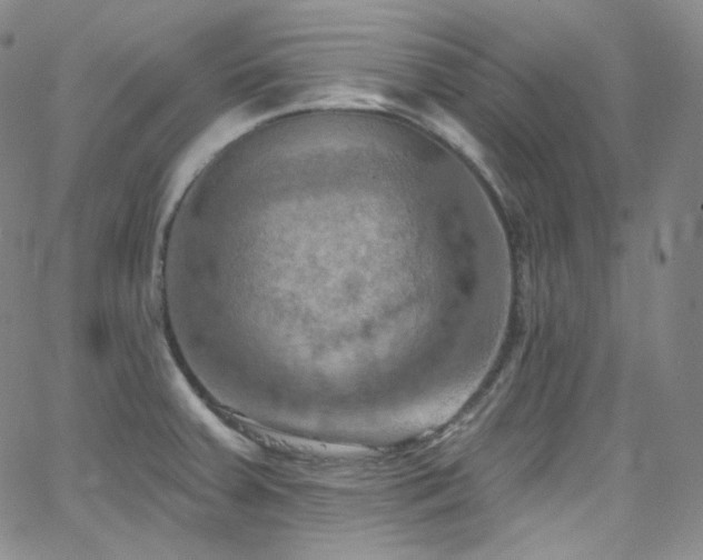 X0000063531379200601201447