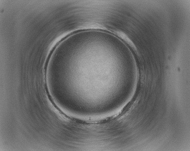 X0000063531380200601201447