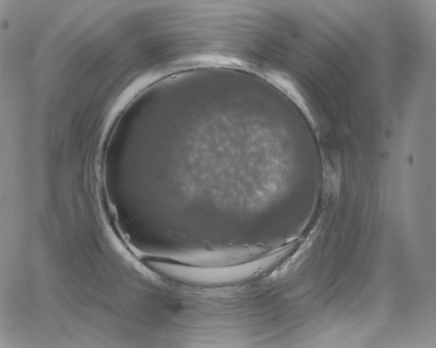 X0000063531381200601201447