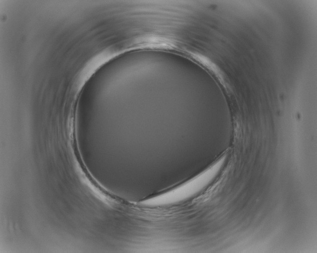 X0000063531383200601201447