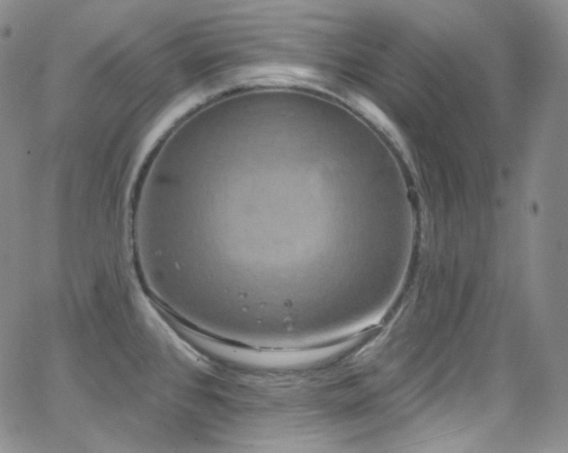 X0000063531384200601201447