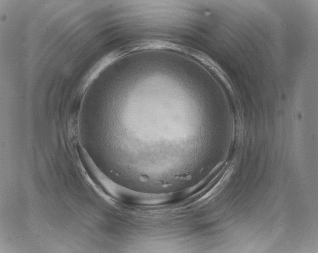 X0000063531385200601201447