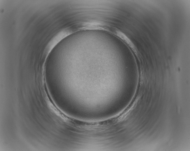 X0000063531386200601201447