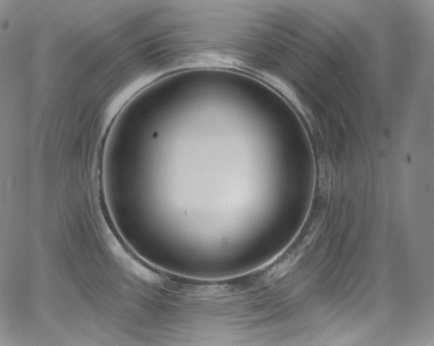 X0000063531387200601201447