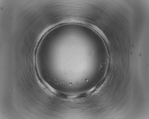 X0000063531388200601201447