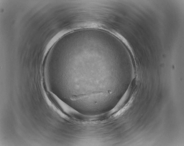 X0000063531389200601201447