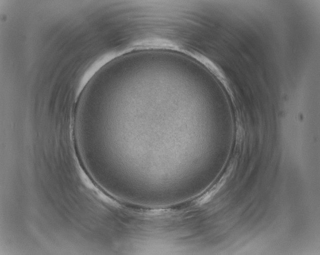 X0000063531390200601201447