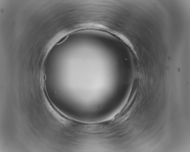 X0000063531391200601201447