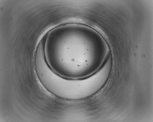 X0000063531392200601201447