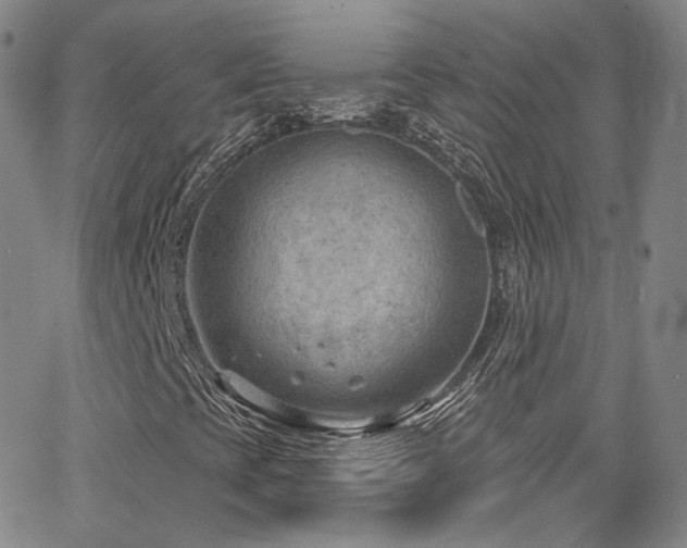 X0000063531393200601201446