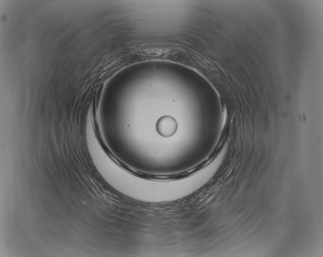 X0000063531394200601201446