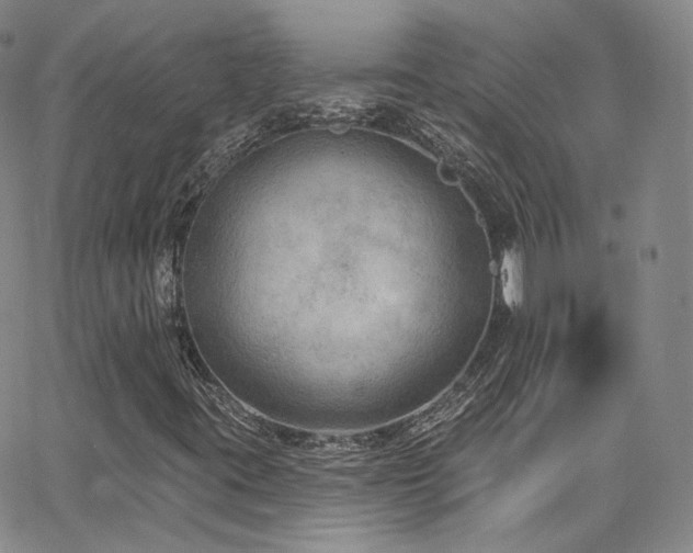 X0000063531395200601201446