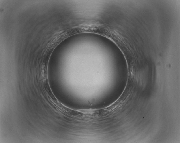 X0000063531396200601201446