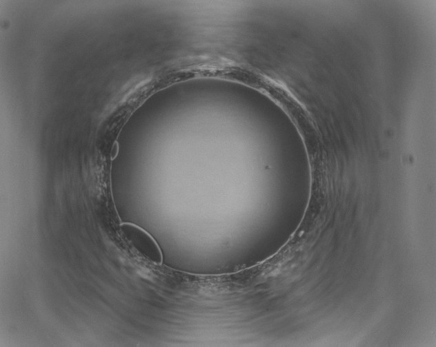 X0000063531399200601201446