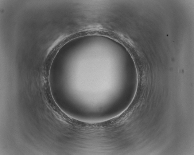 X0000063531400200601201446