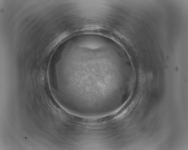 X0000063531401200601201446