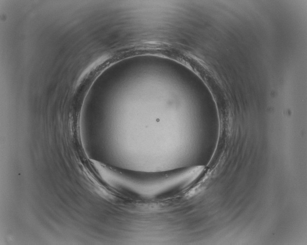 X0000063531402200601201446