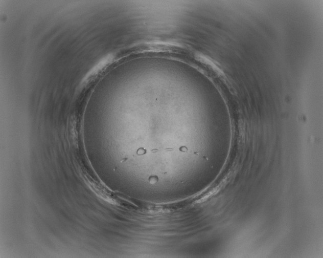 X0000063531403200601201446