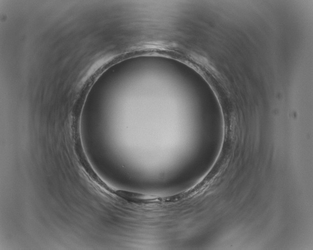 X0000063531404200601201446