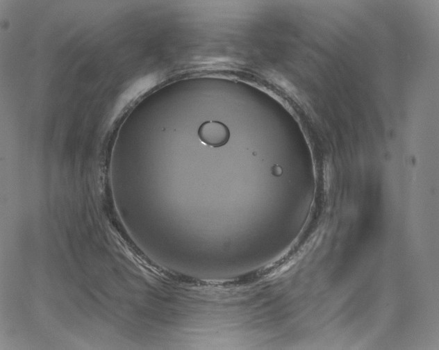 X0000063531405200601201446