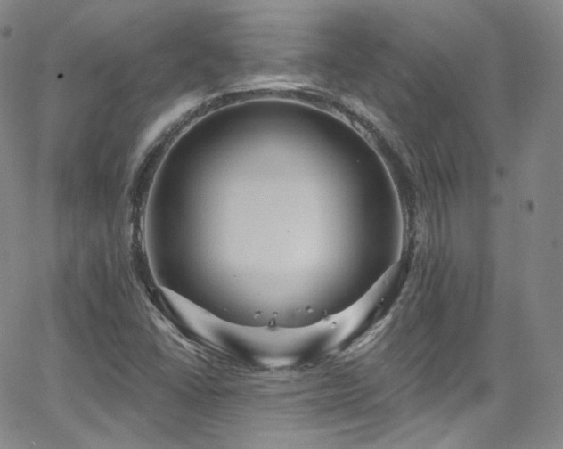 X0000063531406200601201446