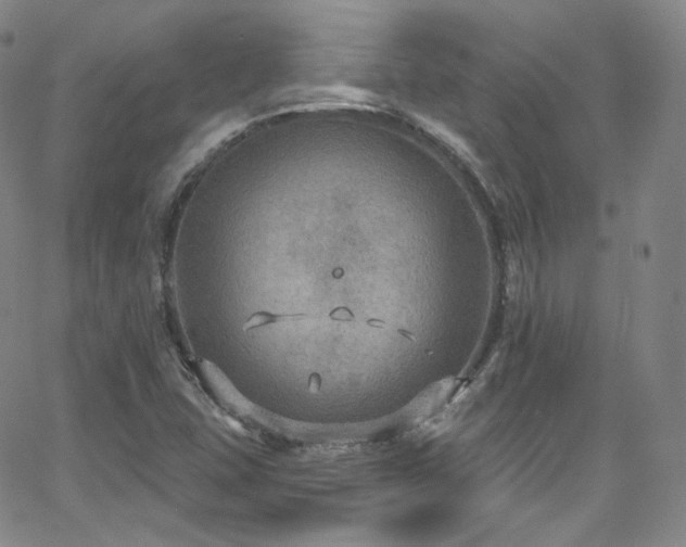 X0000063531407200601201446