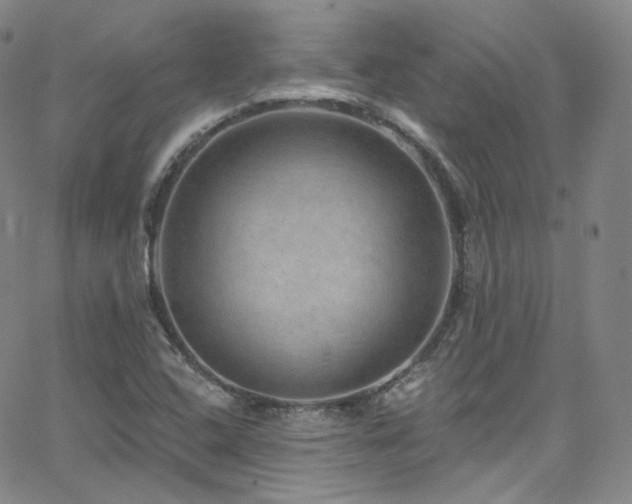 X0000063531408200601201447