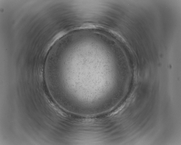 X0000063531409200601201447