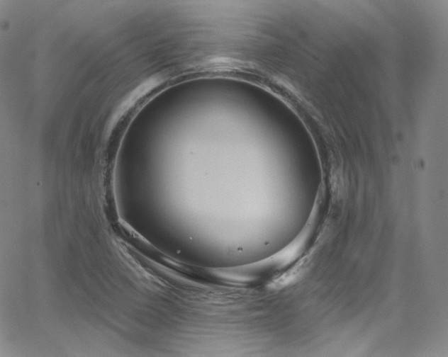 X0000063531410200601201447