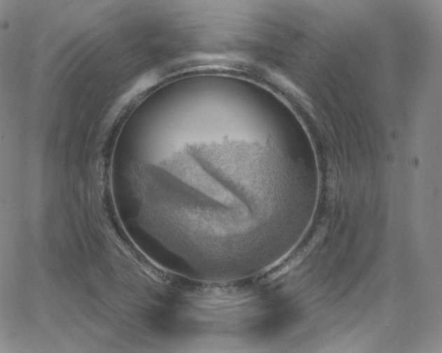 X0000063531411200601201447