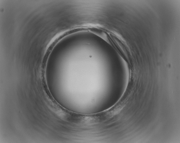 X0000063531412200601201447