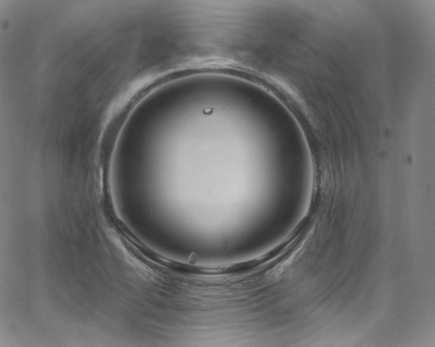 X0000063531414200601201447