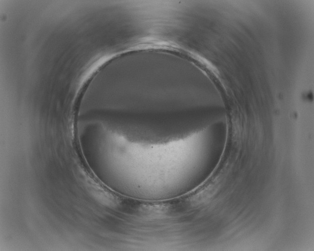 X0000063531415200601201447