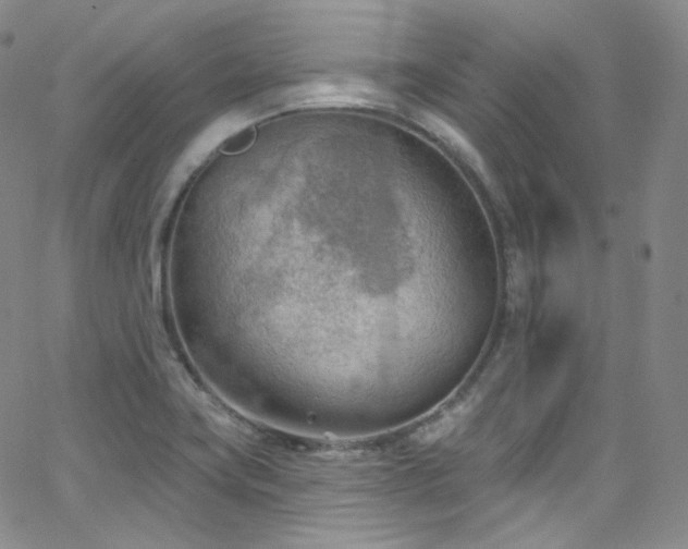 X0000063531419200601201447