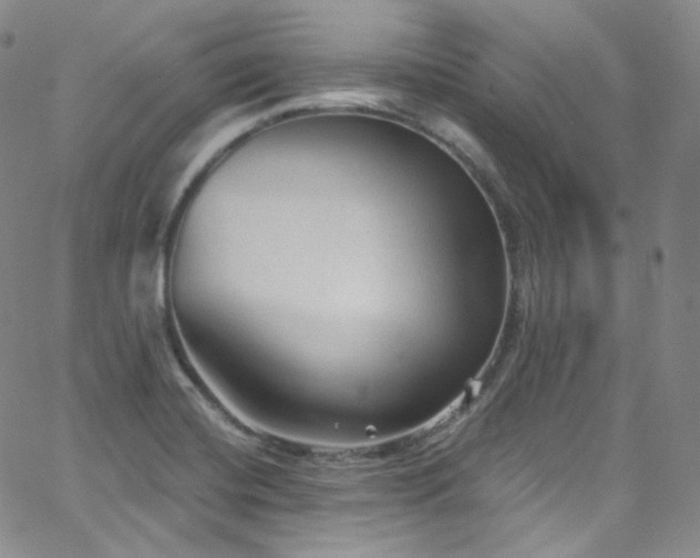 X0000063531420200601201447