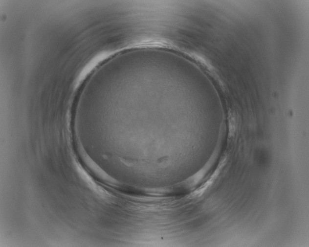 X0000063531422200601201447