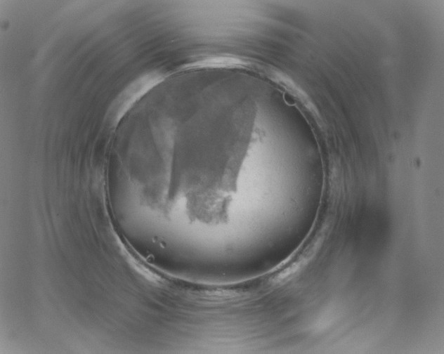 X0000063531425200601201447